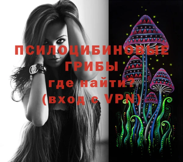 круглые Бородино