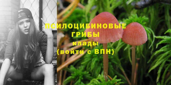 круглые Бородино